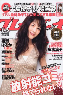 《美国派9》